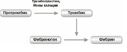 150420241525-1.jpg